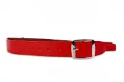Кляпы, ошейники красный