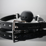 Кляпы, Ошейники