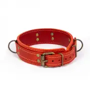 Кляпы, ошейники красный