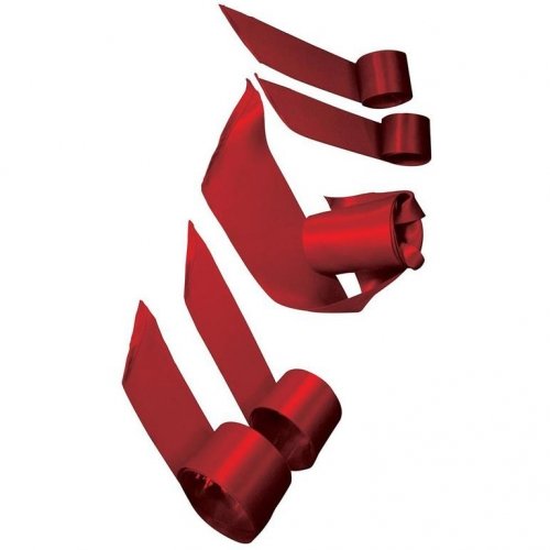 Набор для игры у двери S&M Door Play Kit photo 1