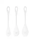 Набор йони бусин Satisfyer Yoni Power 1 White, диаметр 2-2,5-3см, вес 22-46-74гр photo 1