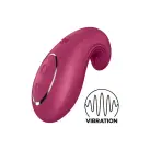 Вибратор Satisfyer Dipping Delight Berry photo 1
