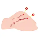 Мастурбатор-попка Kokos Big Hip Hera 2WayPlus с вибрацией и массажем, два входа: вагина и попка photo 7