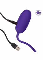 CalExotics RechargeabCalExotics Rechargeable Kegel Ball Starter перезаряжаемое виброяйцо, 7,7х3,25  photo 2